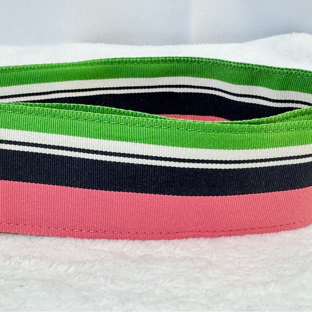 J. Crew Vibrant Preppy Pink Green Blue and White Striped Belt with Silver Rings - Picture 9 of 13